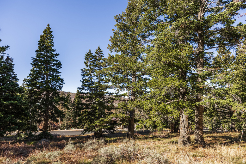 7585  STERLING DR Park City, UT 84060