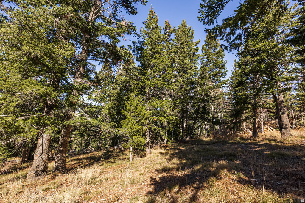 7585  STERLING DR Park City, UT 84060