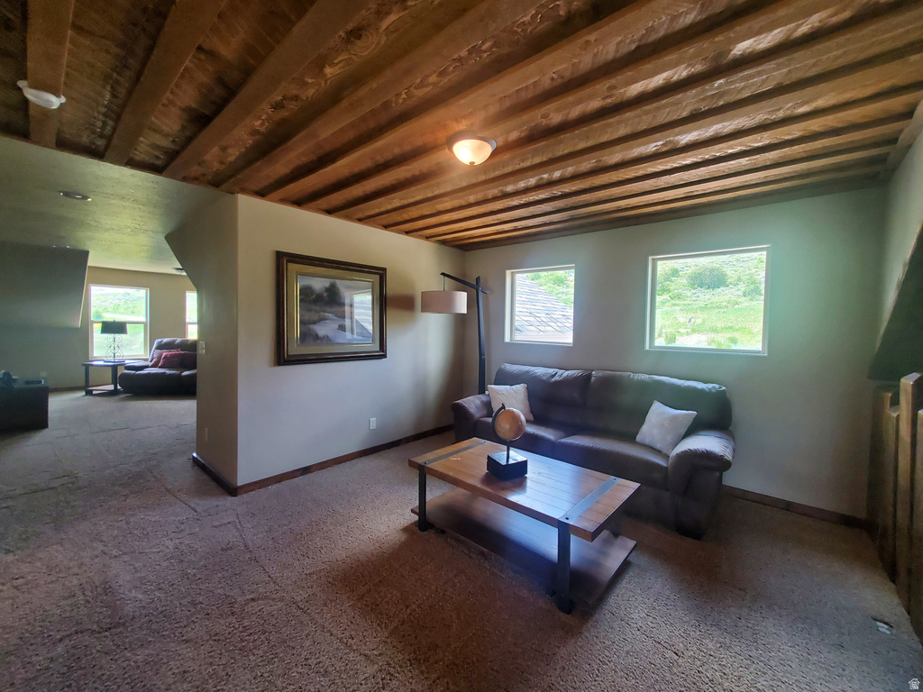 162 HAWKSBEARD CIR #48 Fish Haven, ID 83287