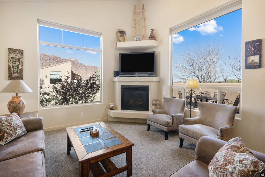 3686 S SPANISH VALLEY DR #W4 Moab, UT 84532