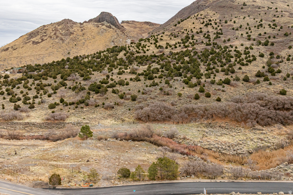 15273 S ROSE CANYON RD Herriman, UT 84096