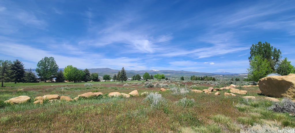 22445 N EAGLE DR Fairview, UT 84629