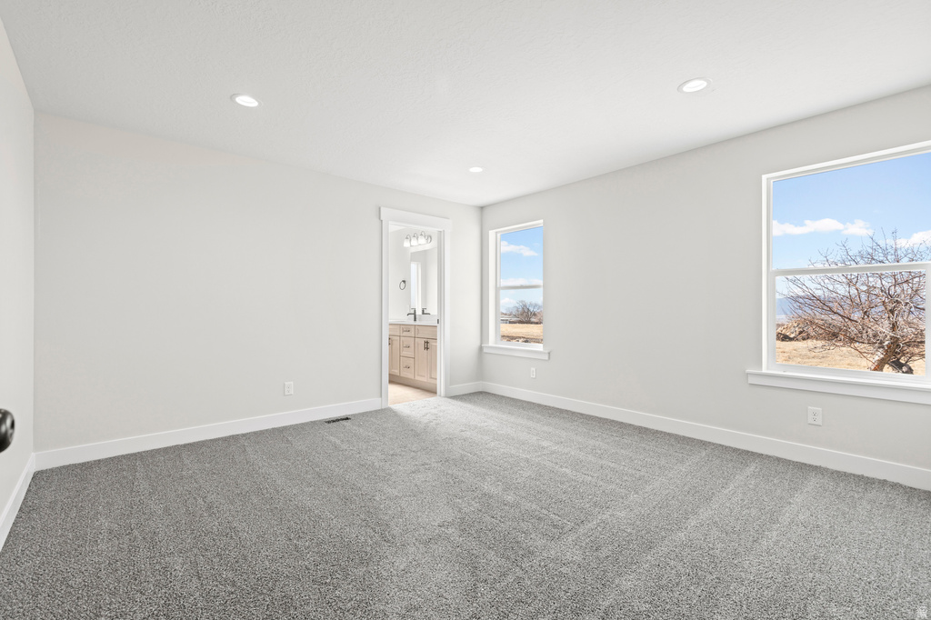 886 E 100 S #5 Mt Pleasant, UT 84647