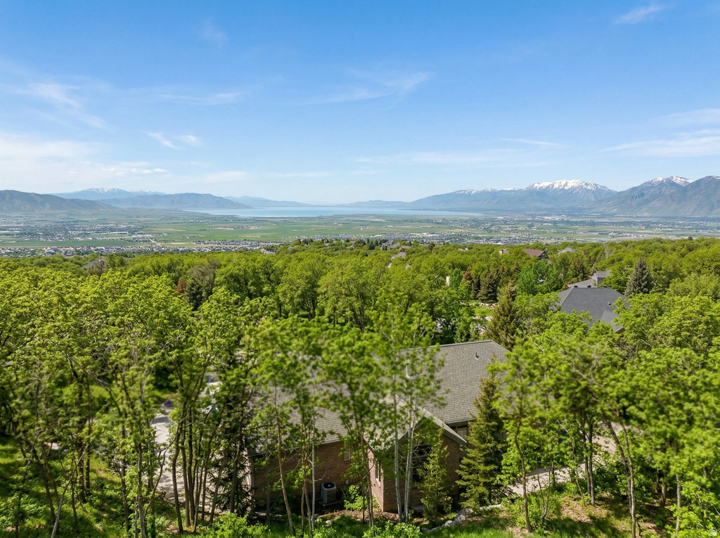 1115 S EAGLE NEST DR Woodland Hills, UT 84653