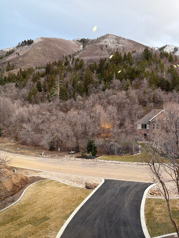 1115 S EAGLE NEST DR Woodland Hills, UT 84653