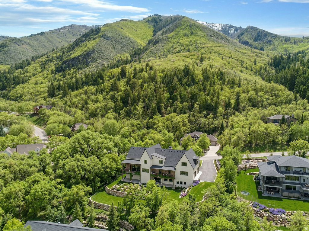 1115 S EAGLE NEST DR Woodland Hills, UT 84653