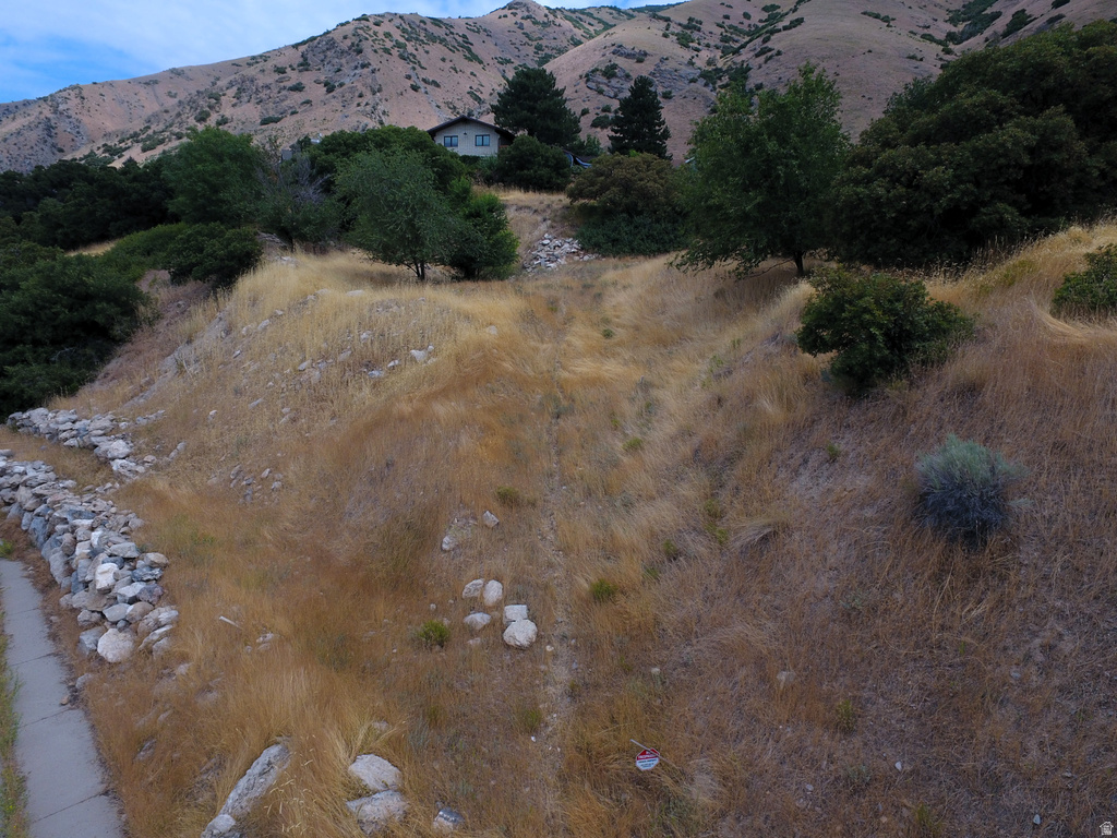 1783  SPRING OAKS DR Springville, UT 84663