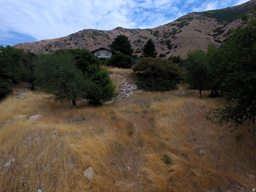 1783  SPRING OAKS DR Springville, UT 84663