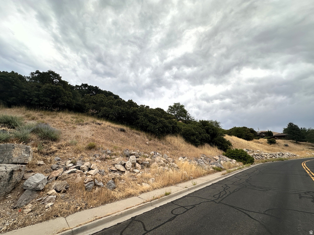 1783  SPRING OAKS DR Springville, UT 84663