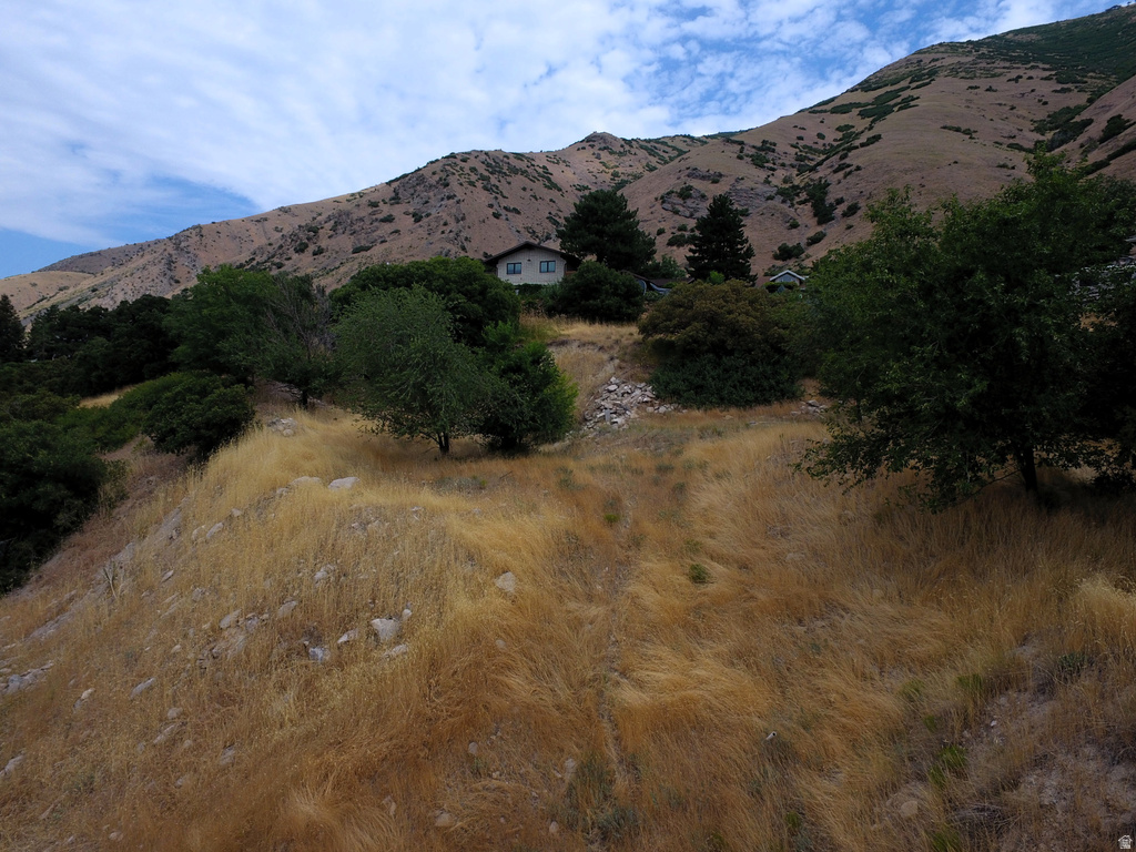 1783  SPRING OAKS DR Springville, UT 84663