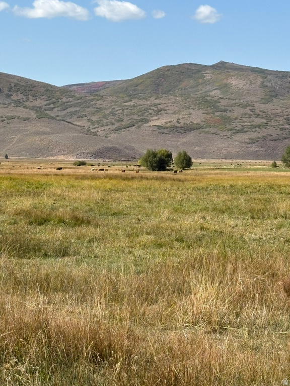 3001 N STATE ROAD 32 Marion, UT 84036