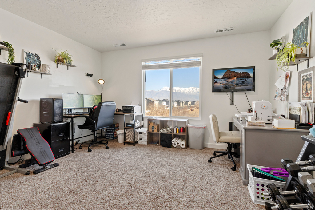 242 N MANDALYN WAY Saratoga Springs, UT 84045