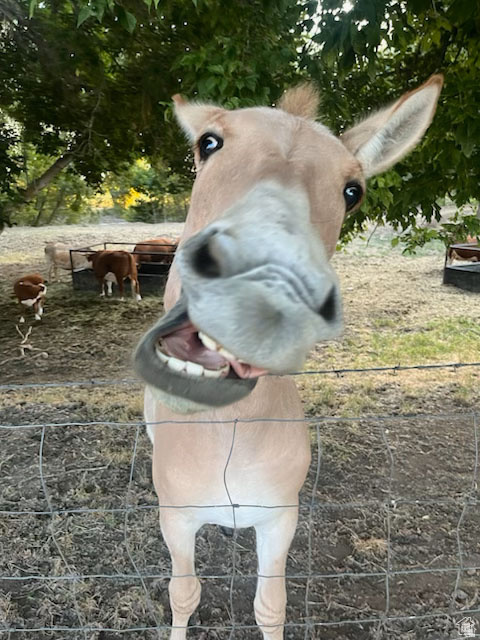 3488 E FAIRWAY LN Spanish Fork, UT 84660