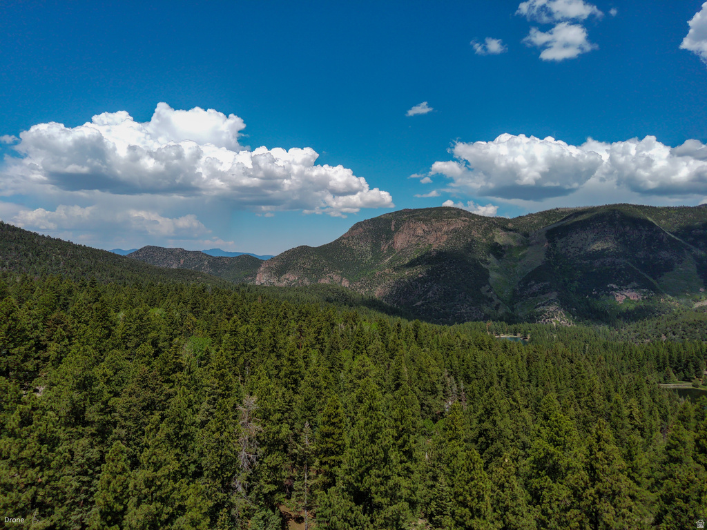 820 S KENTS LAKE RD Beaver, UT 84713