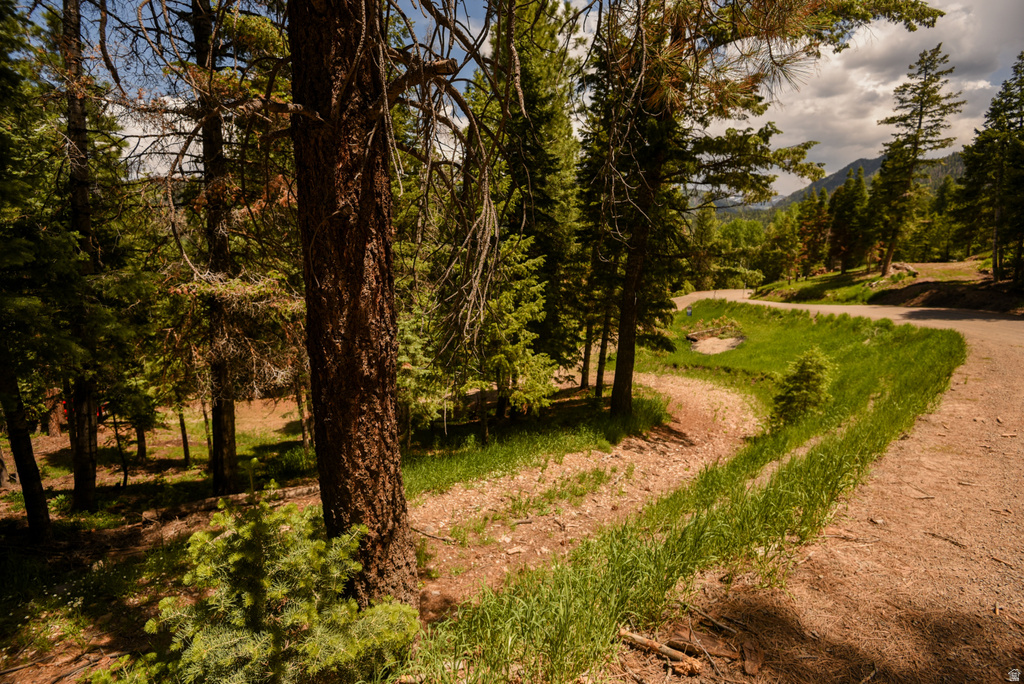 820 S KENTS LAKE RD Beaver, UT 84713