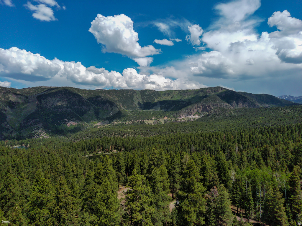 820 S KENTS LAKE RD Beaver, UT 84713