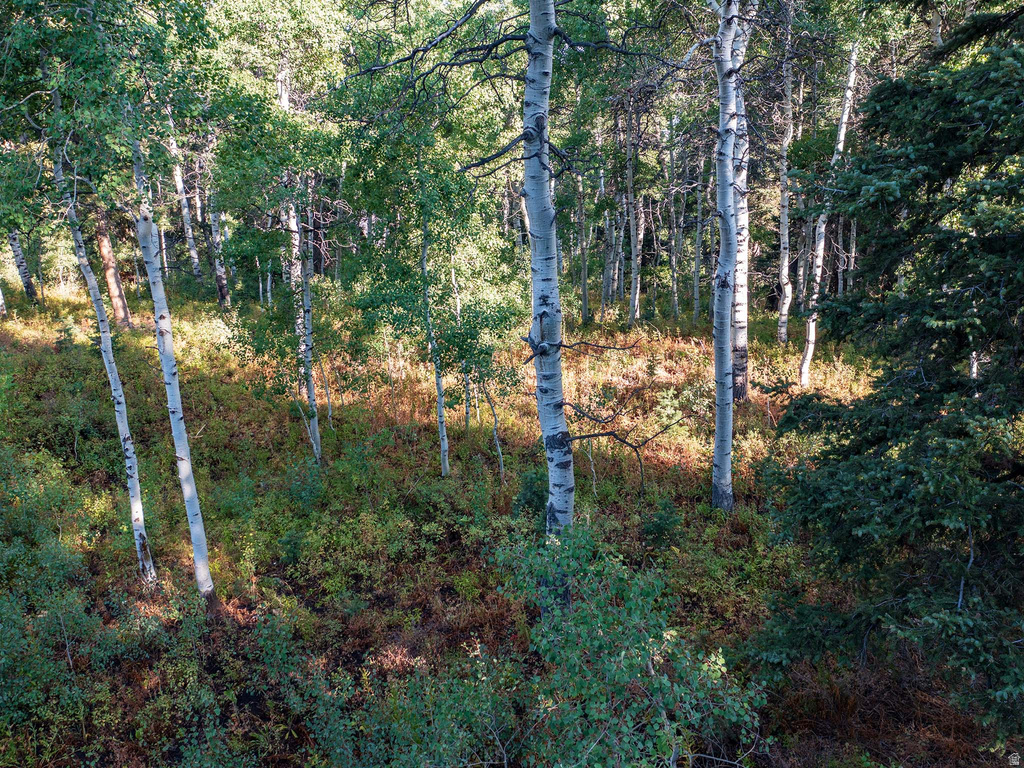 11273 E ASPEN RD Heber City, UT 84032