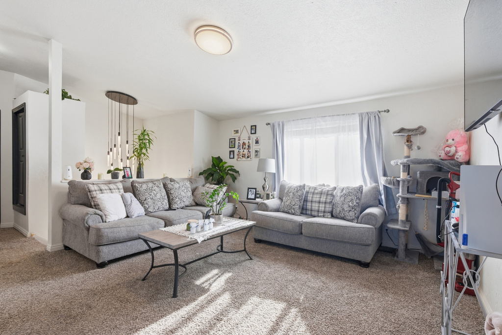 8705 S NEWELL DR West Jordan, UT 84088