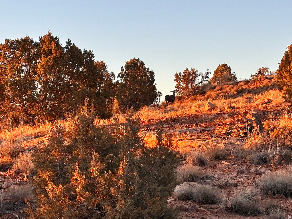 675 W 950 N Blanding, UT 84511