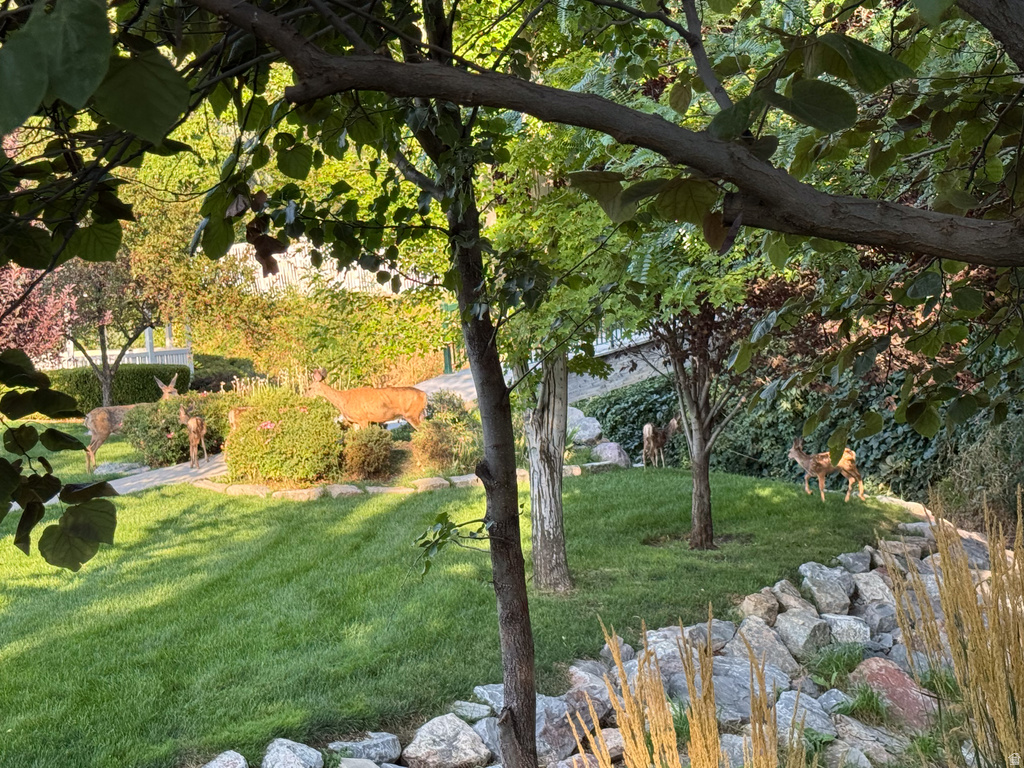 12567 S BLACKSMITH LN Draper, UT 84020