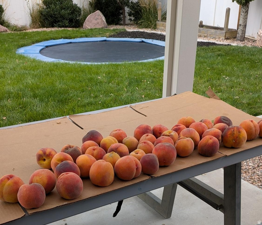 4863 W EMMA MINE DR Herriman, UT 84096