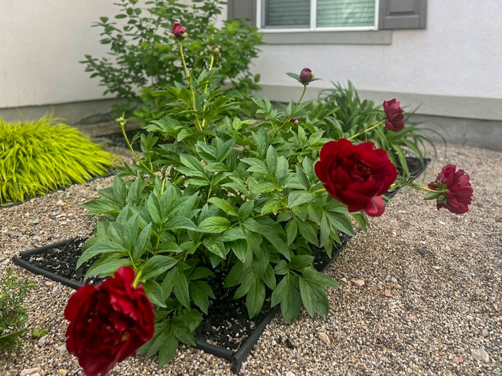 1029 N BEXLEY DR North Salt Lake, UT 84054