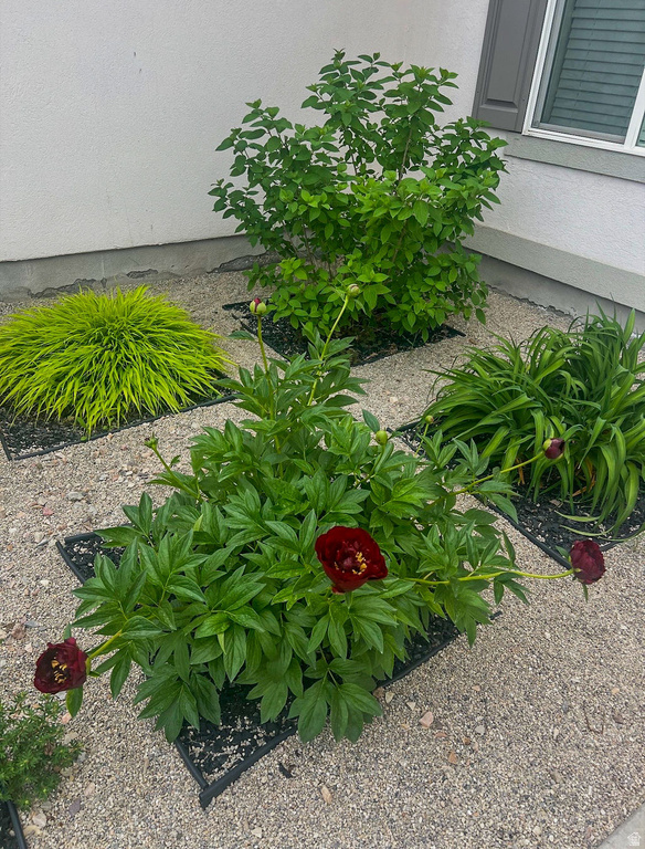 1029 N BEXLEY DR North Salt Lake, UT 84054