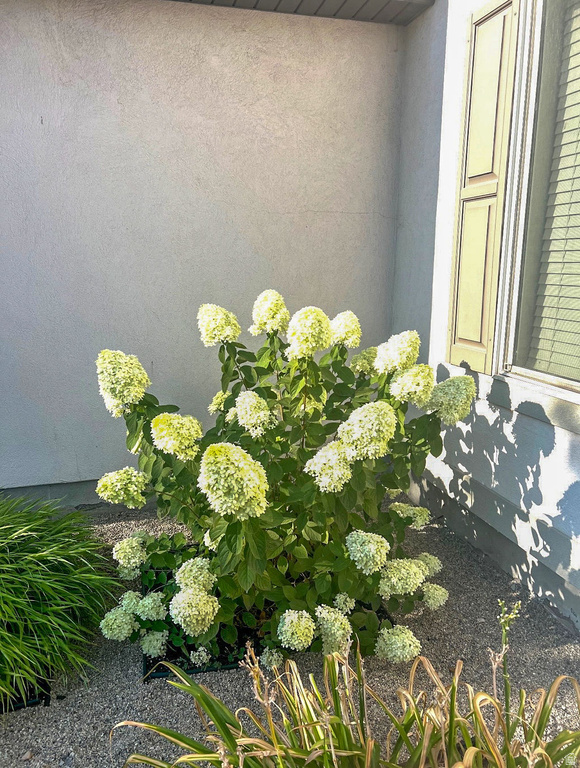 1029 N BEXLEY DR North Salt Lake, UT 84054