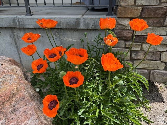 315 S BEAR LAKE BLVD Garden City, UT 84028