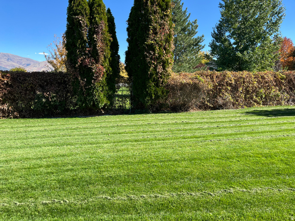 338 N 1090 W Hyrum, UT 84319