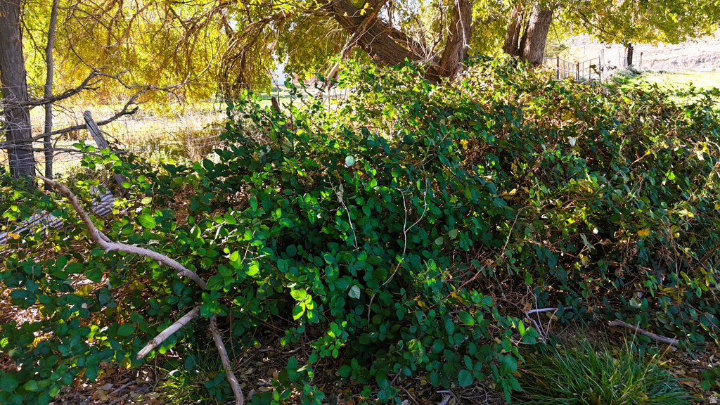 435 S TBD E. BERRY LN Leeds, UT 84746