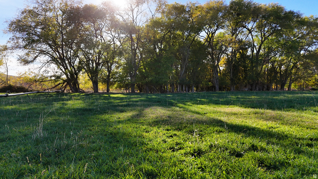 435 S TBD E. BERRY LN Leeds, UT 84746