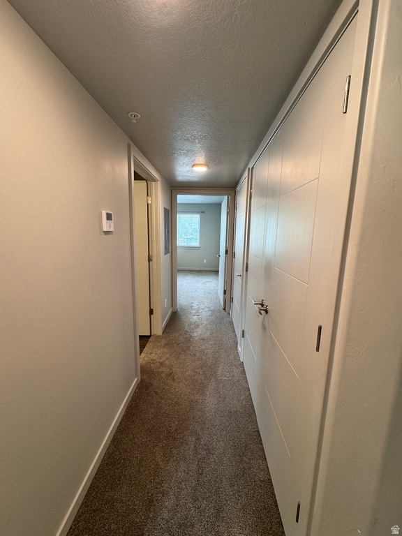 64 W 600 S #C206 Springville, UT 84663