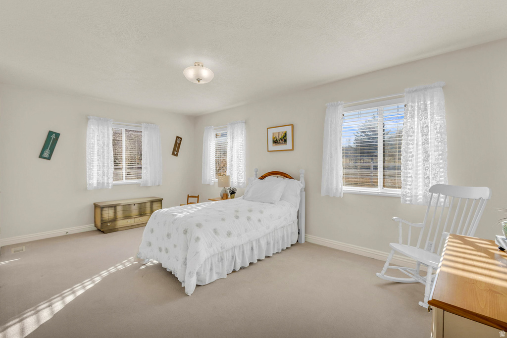 1060 W 2620 S Mapleton, UT 84664