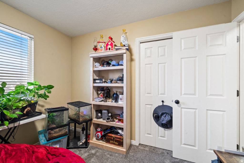 179 W 2525 N Harrisville, UT 84414