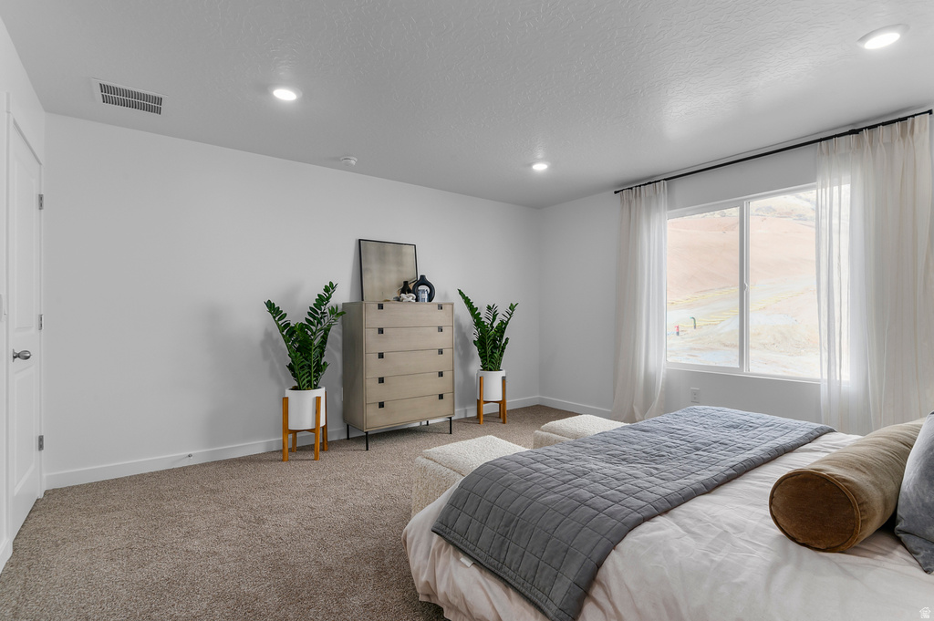 305 E LEVENGROVE DR #228 Lehi, UT 84048