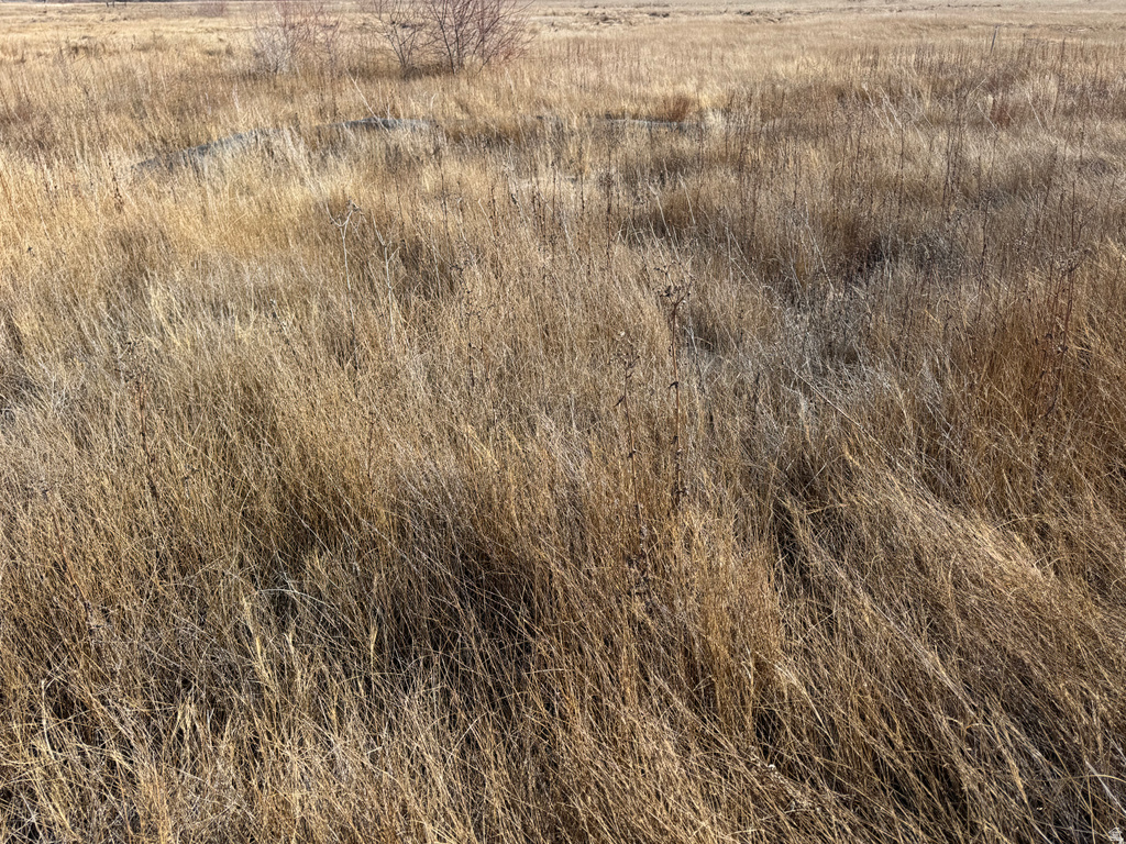 9250 W HWY 40 Bridgeland, UT 84021