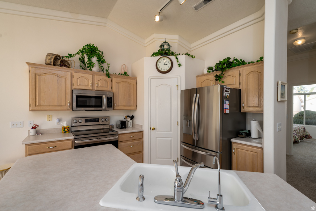 225 N VALLEY DR #45 St George, UT 84770