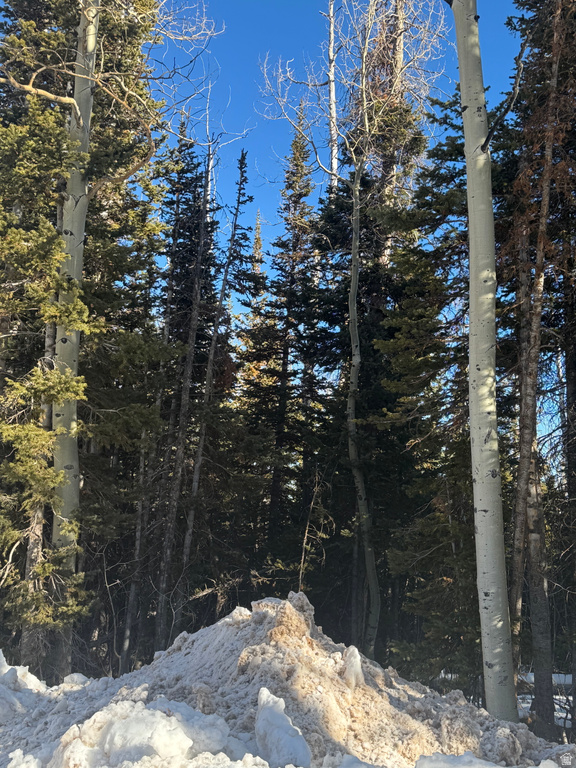 336 W FIR ST Brian Head, UT 84719