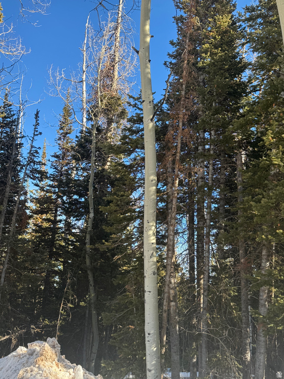 336 W FIR ST Brian Head, UT 84719