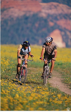 336 W FIR ST Brian Head, UT 84719