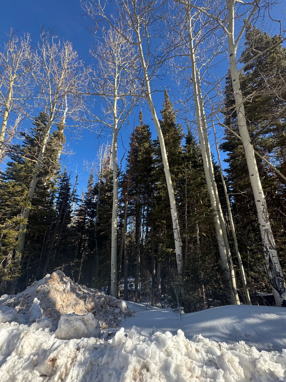 336 W FIR ST Brian Head, UT 84719