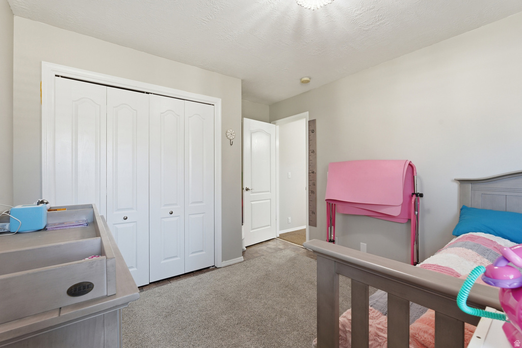 10071 S BINGHAM MINER CT South Jordan, UT 84095