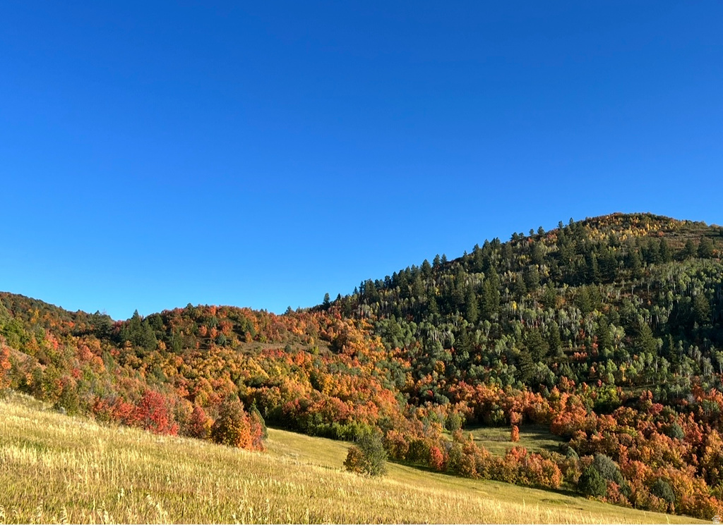 E HWY 36 Preston, ID 83263