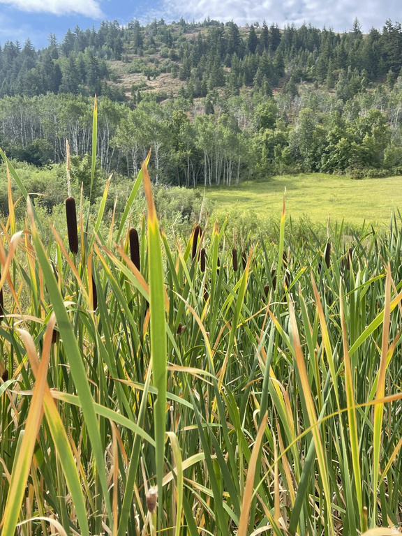 E HWY 36 Preston, ID 83263