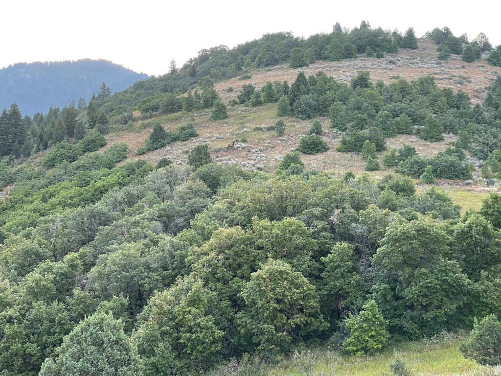 E HWY 36 Preston, ID 83263