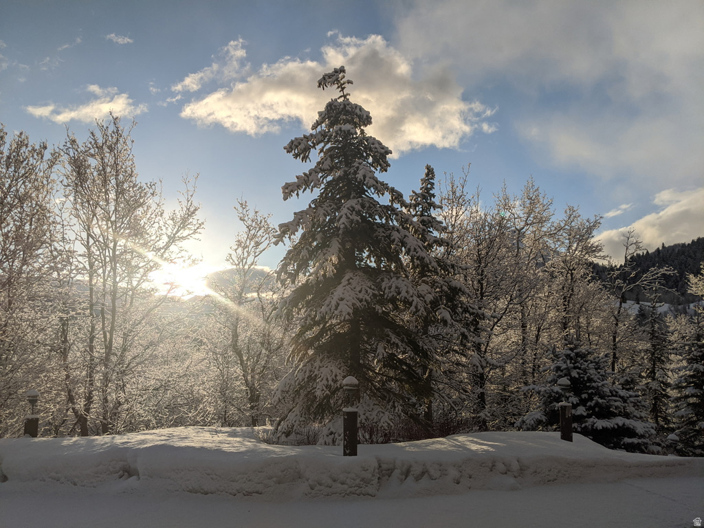 8807 N TIMPHAVEN RD Sundance, UT 84604