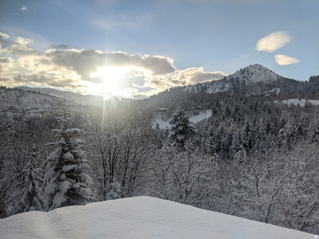 8807 N TIMPHAVEN RD Sundance, UT 84604