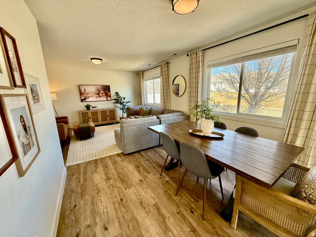 3856 N NEWLAND LOOP Lehi, UT 84043