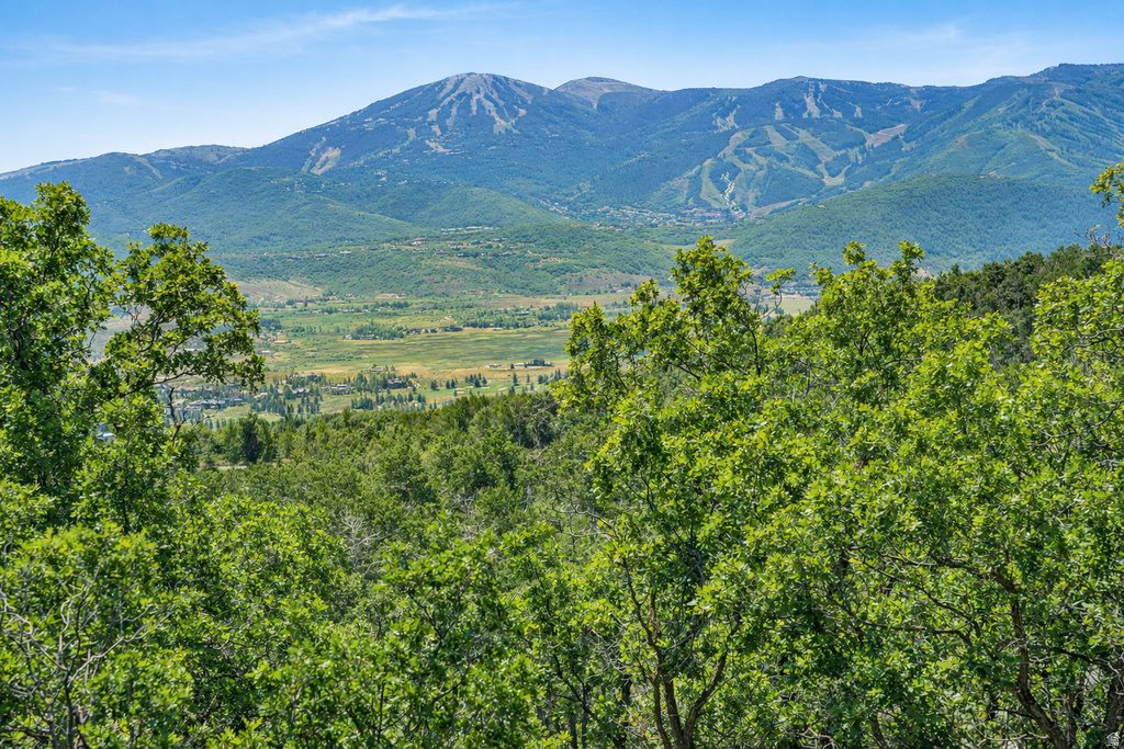 1509  PRESERVE DR Park City, UT 84098